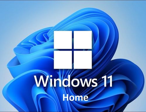 Windows 11 Home Neu