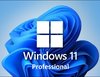 Windows 11 Professional Neu