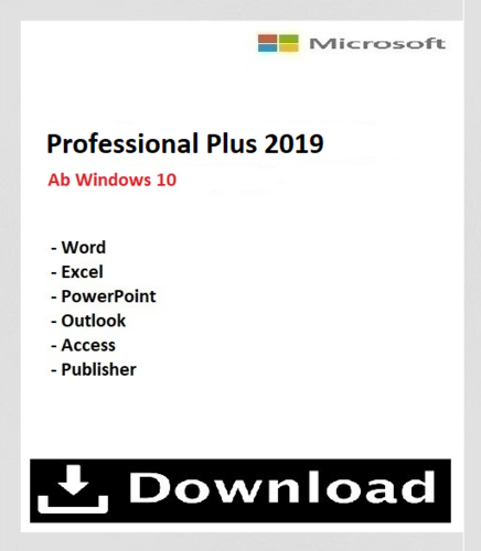 Professional 2019 Plus für 1 PC online