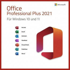Professional Plus 2021 Retail Gebraucht